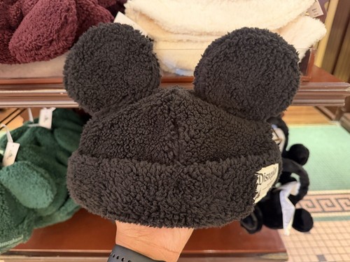 2026 disney parks mickey - 2026,